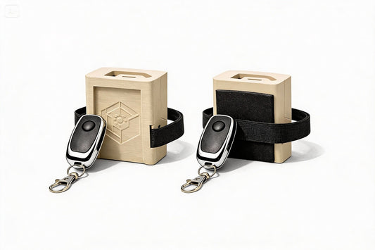 Remote Detonator (RD-1)